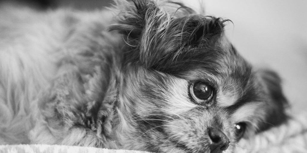 Why Anxiety Isn't Just Overthinking