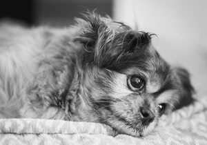 Why Anxiety Isn't Just Overthinking
